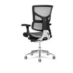 Office Chairs For Low Back Pain