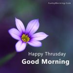 Good Morning Happy Blessed Thursday Images