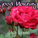 Good Morning Love Flowers Images