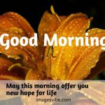 Good Morning Wishes Life Quotes
