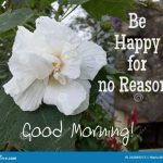 Tuesday Morning Quotes And Sayings